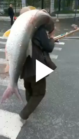 Người đàn ông vác cá "khổng lồ" nặng 35kg trên vai